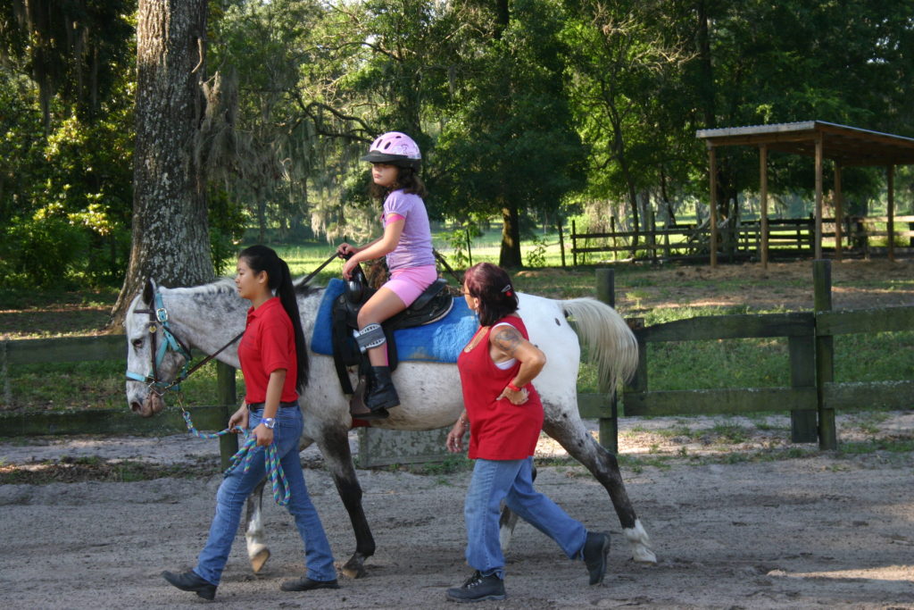 Testimonials Stirrups 'n Strides Therapeutic Riding Center