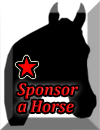 Sponsor A Horse Program