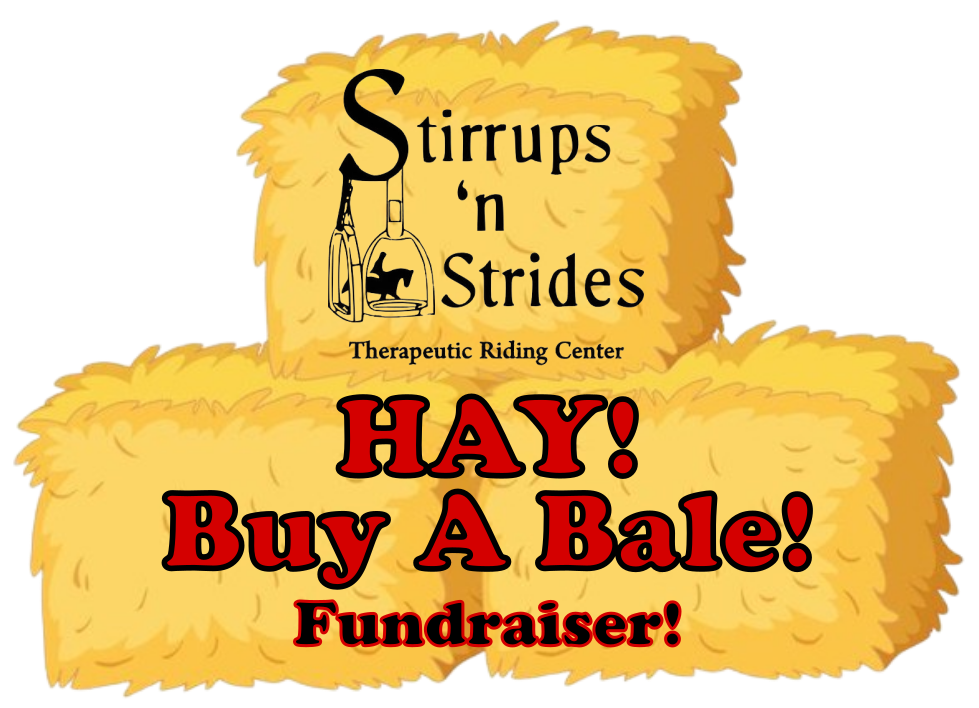 Buy a Bale of Hay Fundraiser for Stirrups'NStrides