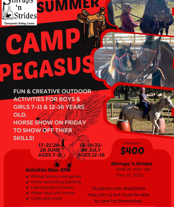 Camp Pegasus Summer Camp
